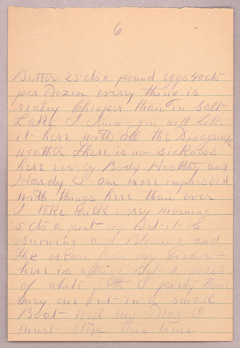 Letter, John F. Delaney, Fort Wrangell, Alaska, to Caroline D. Delaney, [Salt Lake City, Utah], Page 6